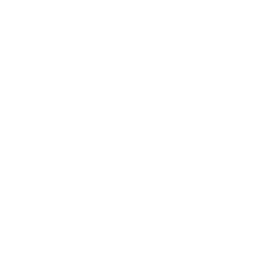 Disability Support Icon